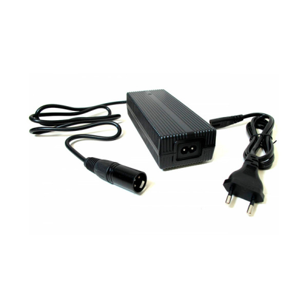 Cargador (24V/4A) - Carga pesada