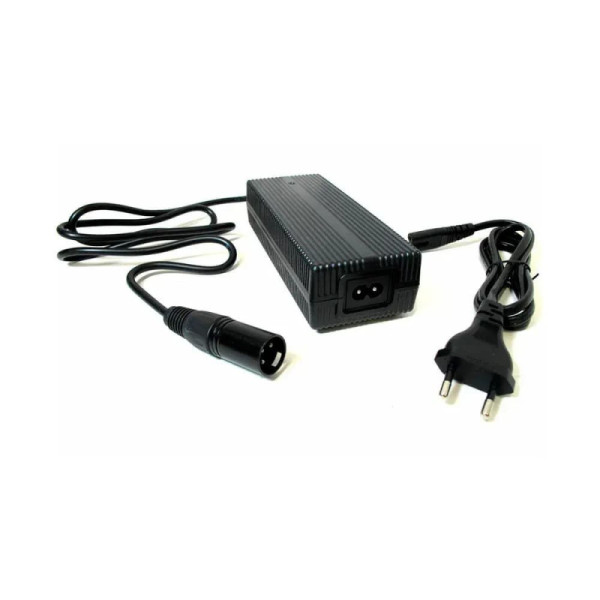 Cargador (48V/4A) - Carga media